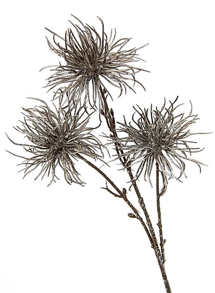 I.GE.A. Kunstblume "Distel", Metallic-Distelzweig, Kunstzweige, 5er Set günstig online kaufen