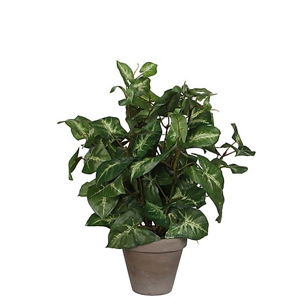 Kunstpflanze Mica Kunstpflanze Syngonium grün im günstig online kaufen
