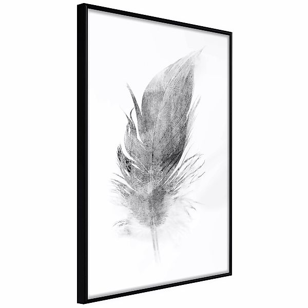 Poster - Lost Feather (grey) günstig online kaufen