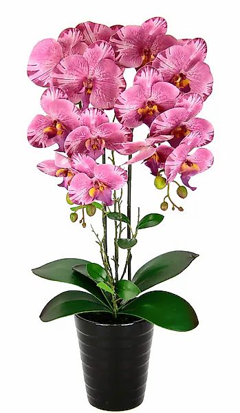 I.GE.A. Kunstblume »Orchidee«, Im Topf Phalaenopsis Orchidee Phalaenopsis m günstig online kaufen