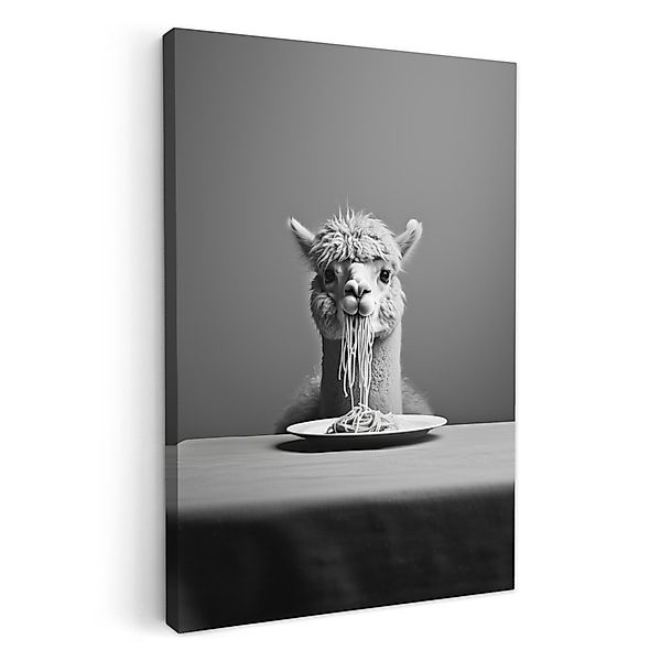 OneMillionCanvasses® Leinwandbild Alpaka - Nudeln - günstig online kaufen