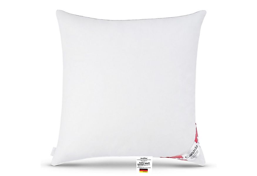 Canada Kopfkissen Daunenkissen Kopfkissen Quattro 80x80 cm, neue silberweiß günstig online kaufen