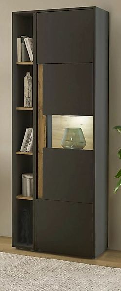 Furn.Design Aktenschrank Center (Büroschrank in matt grau mit Wotan Eiche, günstig online kaufen