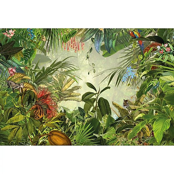 KOMAR Vlies Fototapete - Into the Wild - Größe 368 x 248 cm mehrfarbig günstig online kaufen