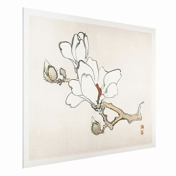 Forexbild Blumen - Querformat Asiatische Vintage Zeichnung Weiße Magnolie günstig online kaufen