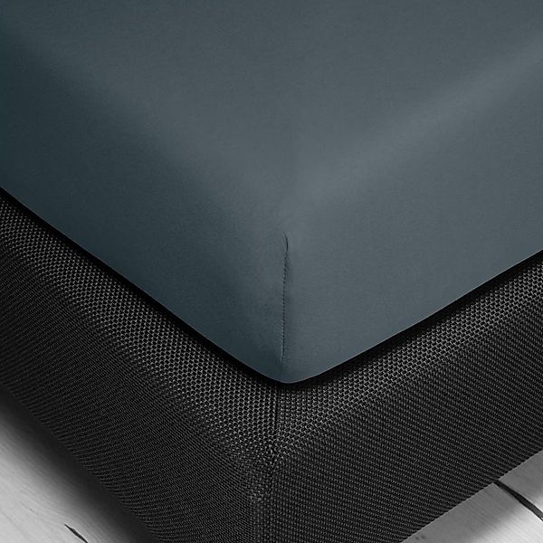 Irisette Spannbettlaken Jupiter 8, Mako-Jersey, Gummizug: rundum, (1 Stück) günstig online kaufen