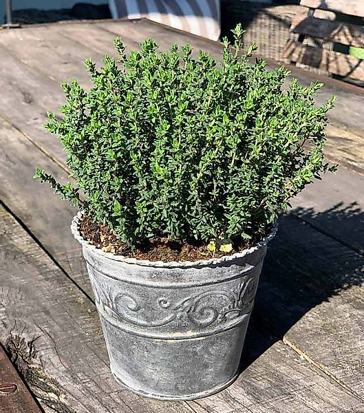 Zink Blumentopf Rund Verzierung Vintage-Stil Pflanztopf Landhausstil Grau S günstig online kaufen