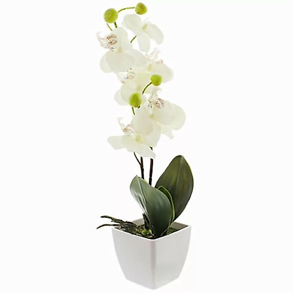 Kunstpflanze Orchidee günstig online kaufen