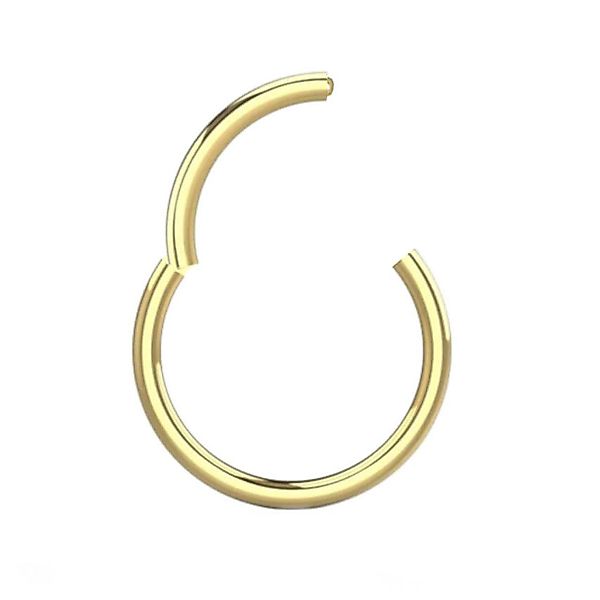 viva-adorno Nasenpiercing Segmentring Clicker Chirurgenstahl Piercing günstig online kaufen