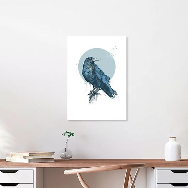 Poster / Leinwandbild - Blue Crow günstig online kaufen
