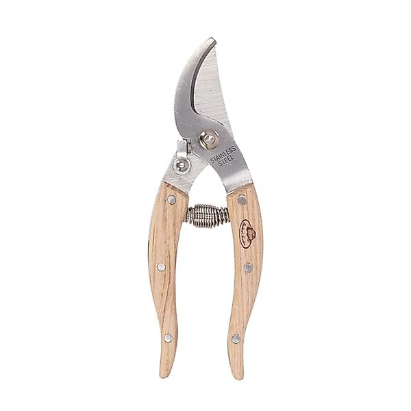 Rivanto Gartenschere, Zimmerpflanzenschere aus Edelstahl und günstig online kaufen