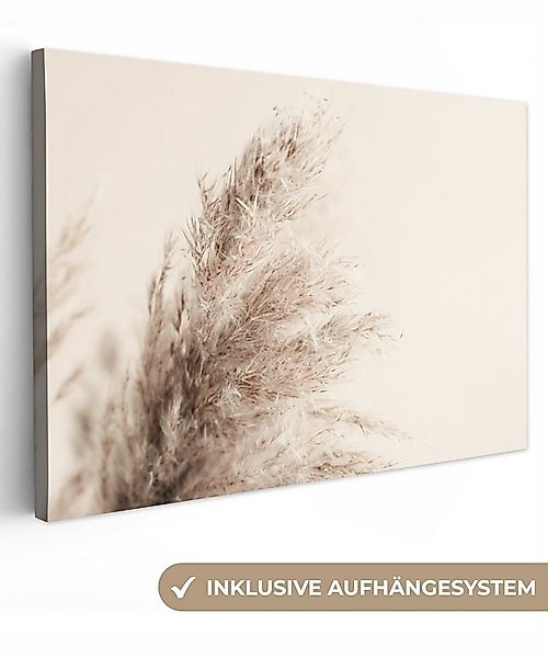 OneMillionCanvasses® Leinwandbild Pflanzen - Pampaswedel - Pampasgras - Bei günstig online kaufen
