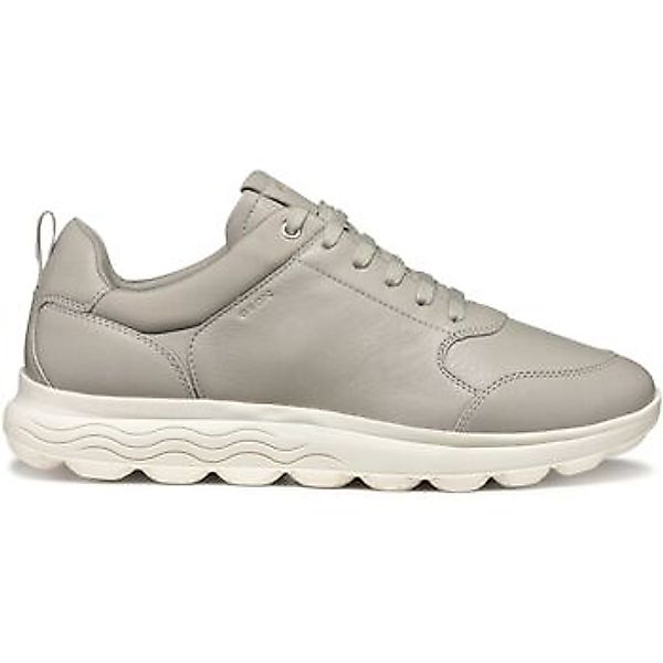 Geox  Sneaker Baskets  Spherica A günstig online kaufen