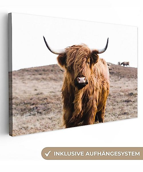 OneMillionCanvasses® Leinwandbild Schottische Highlander - Landschaft - Kuh günstig online kaufen