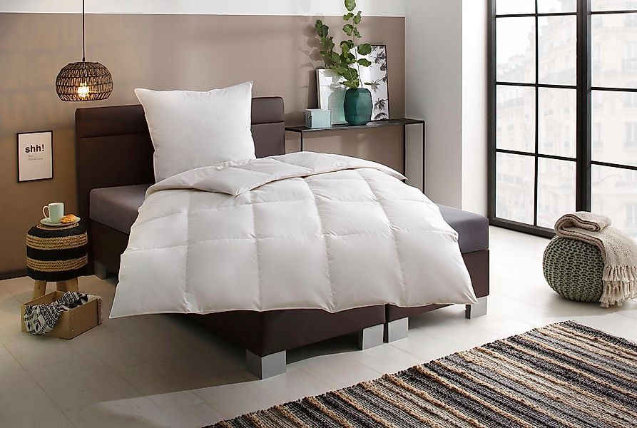 Älgdröm Daunenbettdecke + 3-Kammer-Kopfkissen "Lasse, Bettdecke 135x200 cm, günstig online kaufen