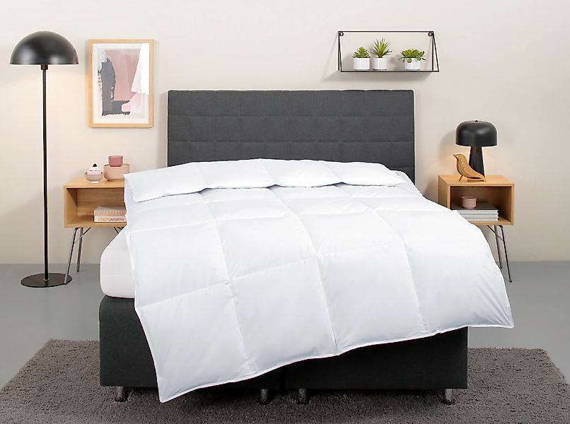 OTTO home Daunenbettdecke "Cyra, Bettdecke 135x200 cm, 155x220 cm" warm Fül günstig online kaufen