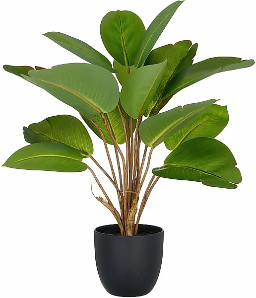 Creativ green Kunstpflanze "Philodendron", mit naturgetreuem Blattwerk günstig online kaufen