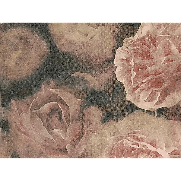 Bricoflor Vintage Tapete mit Blumen Nostalgische Vliestapete mit Rosen in A günstig online kaufen