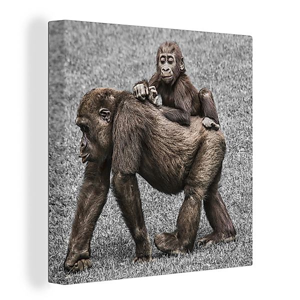 OneMillionCanvasses® Leinwandbild Affen - Landschaft - günstig online kaufen