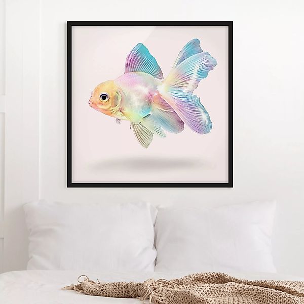 Bild mit Rahmen Tiere - Quadrat Fisch in Pastell günstig online kaufen
