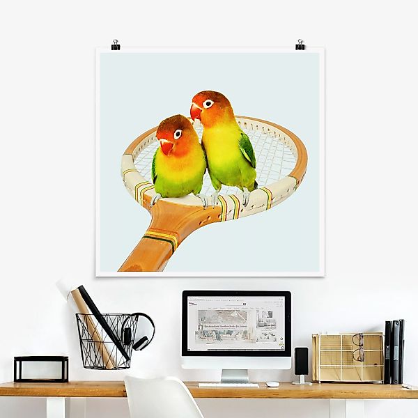 Poster Tiere - Quadrat Tennis mit Vögeln günstig online kaufen