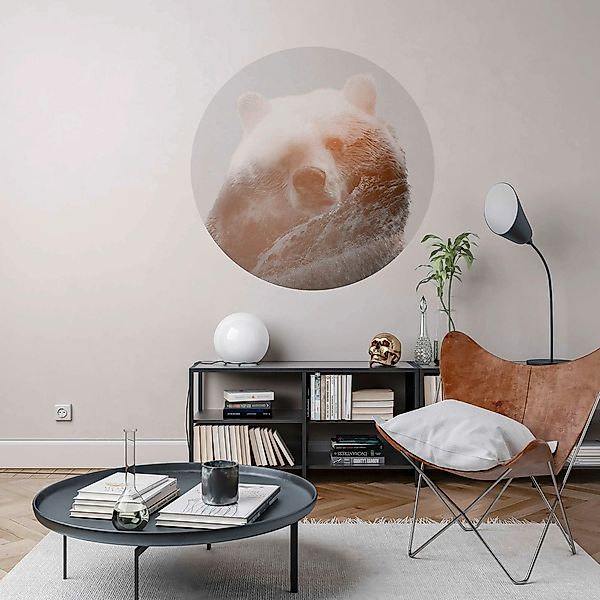 Komar Vlies Fototapete Bearava Selbstklebend Ø 125 cm günstig online kaufen