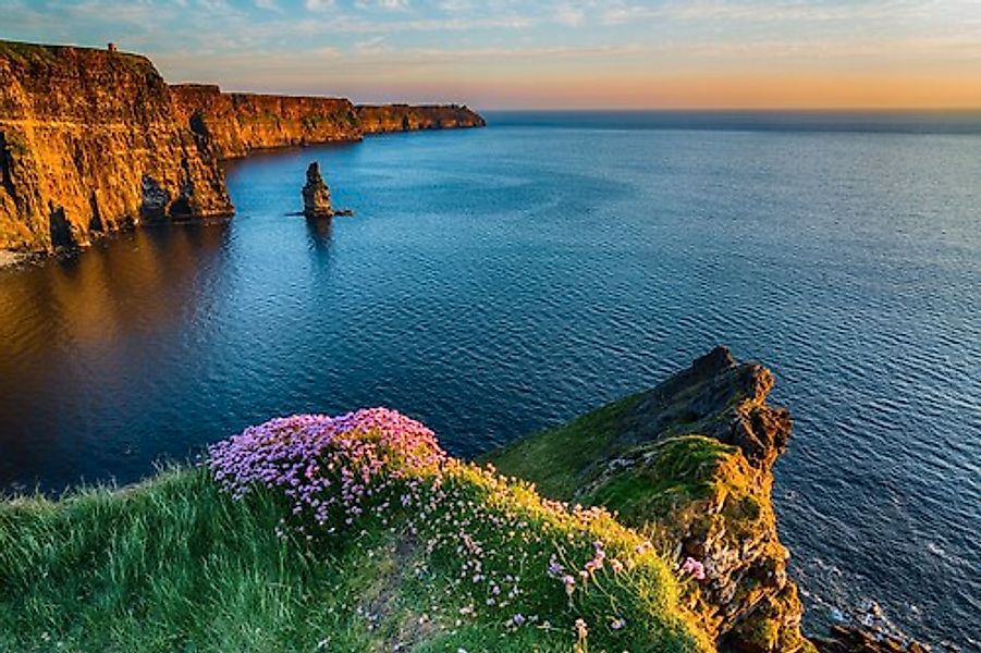 Papermoon Fototapete »MOHER IRLAND-STRAND KLIPPEN KÜSTE BLUMEN MEER GEBIRGE günstig online kaufen