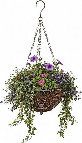 LB H&F Lilienburg Blumenampel Blumenampel Pflanzampel Hanging Basket Pflanz günstig online kaufen