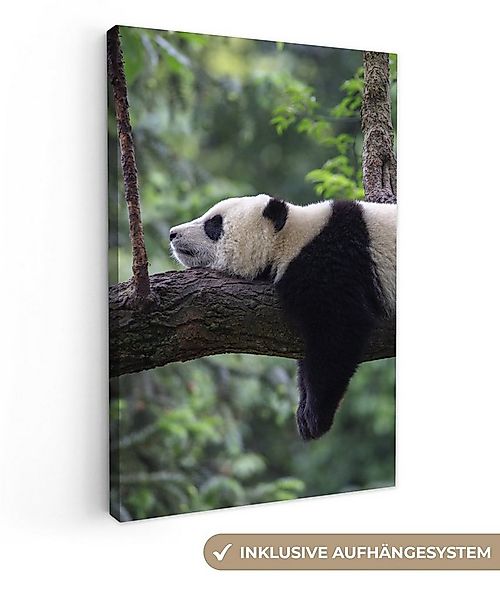 OneMillionCanvasses® Leinwandbild Panda - Baum - Tiere - Natur, Fotodruck ( günstig online kaufen