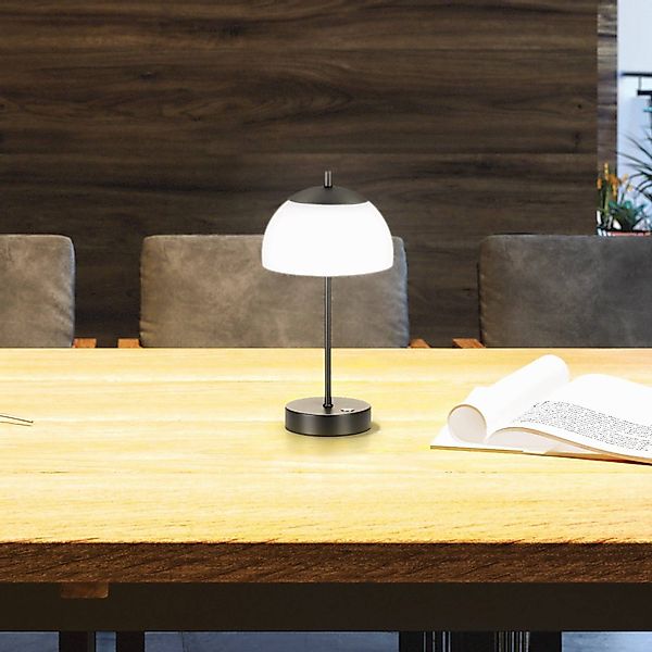 FISCHER & HONSEL LED Tischleuchte, LED-Leuchtmittel günstig online kaufen