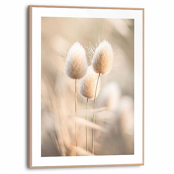 Reinders Poster "Plumes", Wohnzimmer - Grasfedern - Beige - MDF - Blumen un günstig online kaufen
