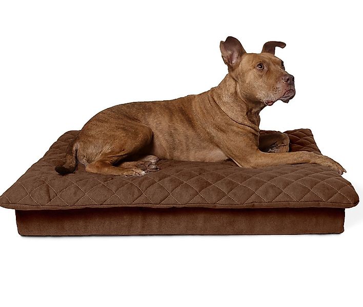 lous Hundematratze 2 in 1 Hundebett orthopädisch - mit abnehmbarem Topper, günstig online kaufen