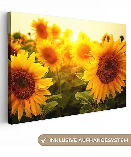 OneMillionCanvasses® Leinwandbild Sonnenblume - Gelb - Blumen - Sonne, Foto günstig online kaufen