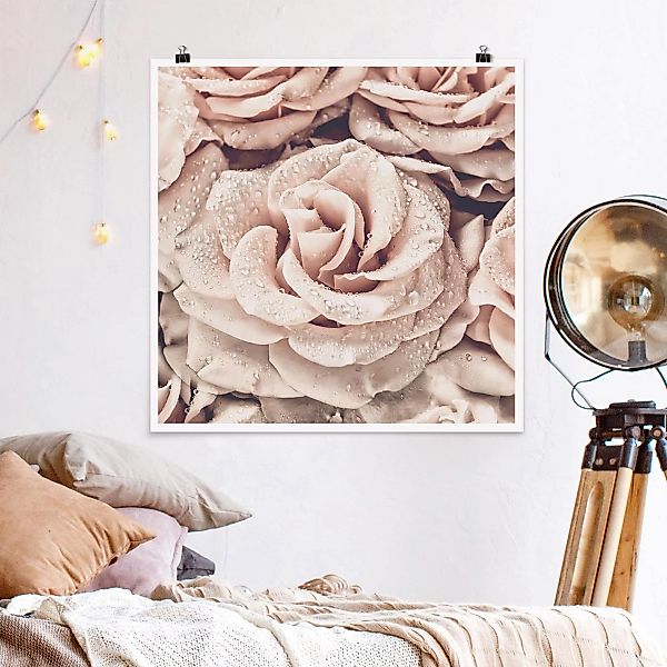 Poster - Quadrat Rosen Sepia mit Wassertropfen günstig online kaufen