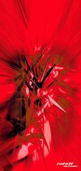 roleff Multifunktionstuch "Schlauchtuch" günstig online kaufen