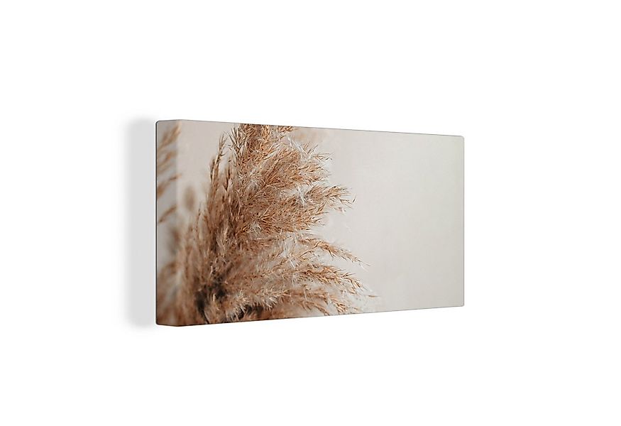 OneMillionCanvasses® Leinwandbild Panorama Gras - Pflanzen - Natur - Pampas günstig online kaufen