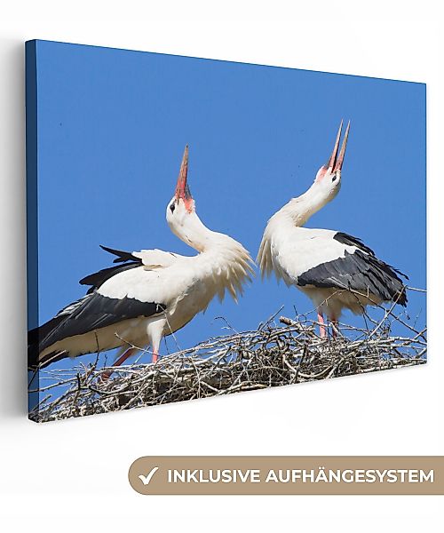 OneMillionCanvasses® Leinwandbild Atemberaubendes Bild von zwei günstig online kaufen