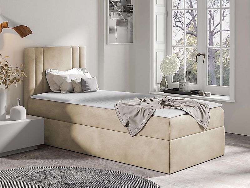 MIRJAN24 Boxspringbett Carmen Mini (mit Hauptmatratze, günstig online kaufen