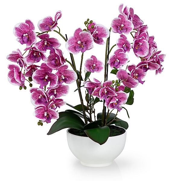 Kunstorchidee PASCH® XXL Orchidee künstlich wie echt (56cm) in Hochglanz-Ke günstig online kaufen
