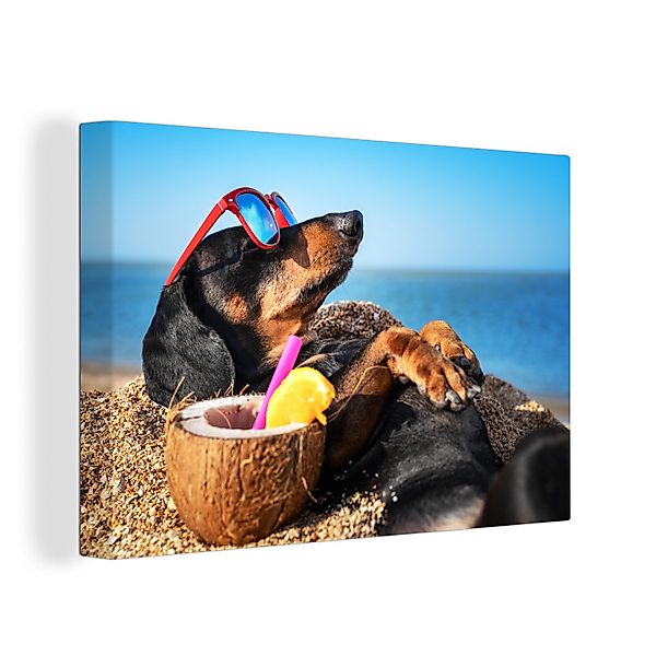 OneMillionCanvasses® Leinwandbild Hund - Sonnenbrille - günstig online kaufen