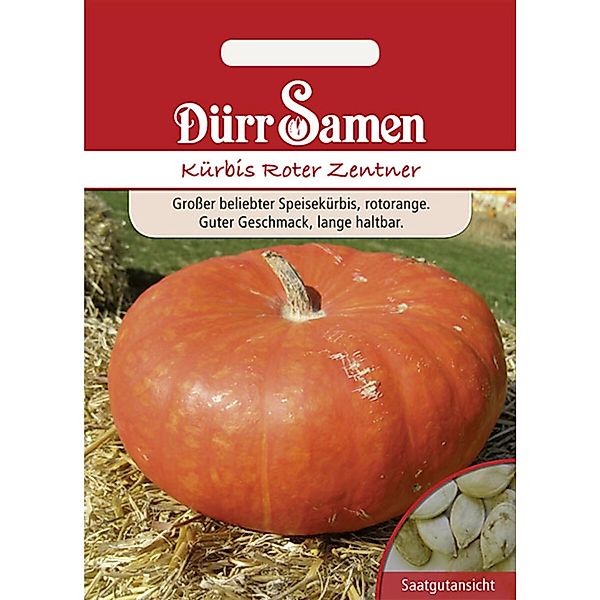 Dürr Samen Kürbis Roter Zentner Saatgut günstig online kaufen