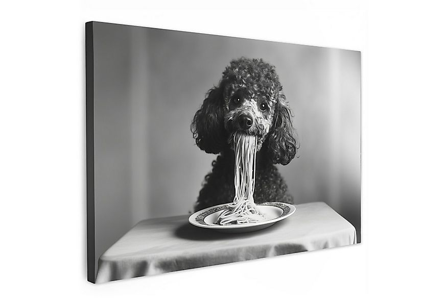 OneMillionCanvasses® Leinwandbild Pudel - Hund - Schwarz - Weiß - Niedlich günstig online kaufen
