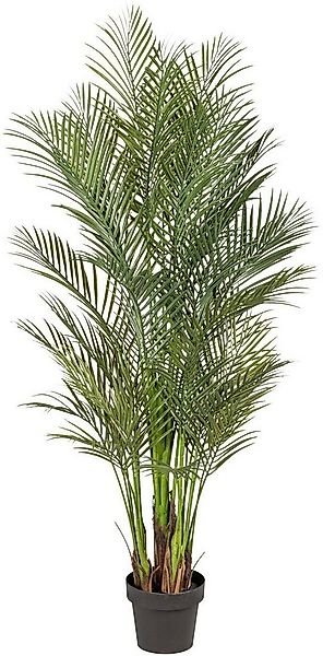 Kunstpalme Arecapalme Palme, Creativ green, Höhe 160 cm günstig online kaufen