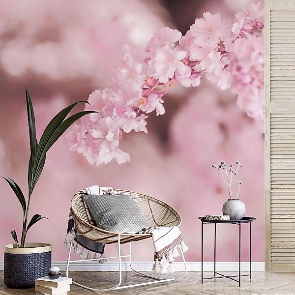 Fototapete Kirschblüte im Violetten Licht günstig online kaufen