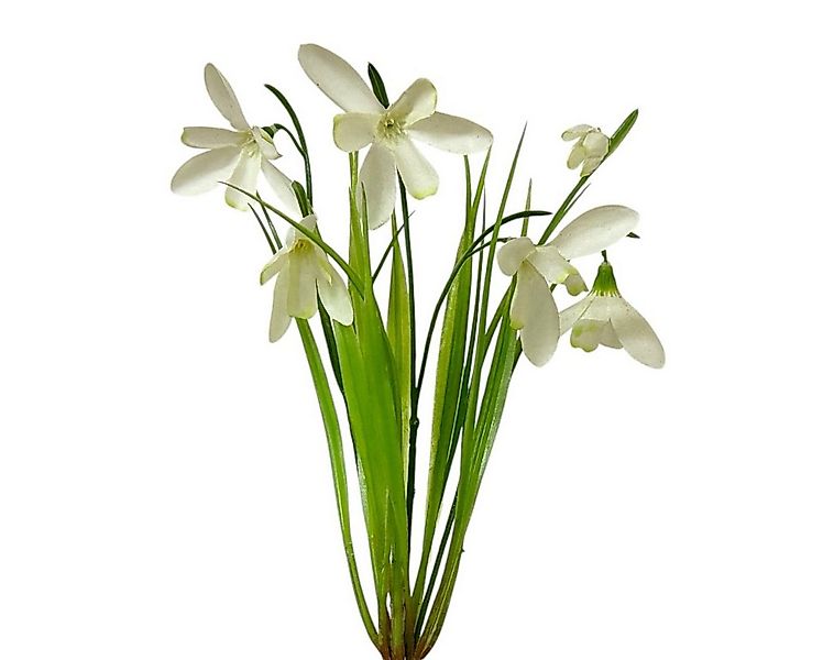 Kunstblume Kunstblume SCHNEEGLÖCKCHEN ca 27cm. Künstlicher Galanthus nivali günstig online kaufen