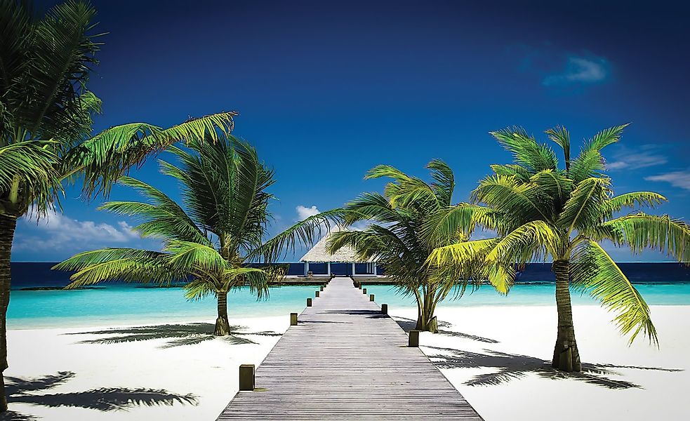 Wallarena Fototapete 254X184 cm - Papier günstig online kaufen