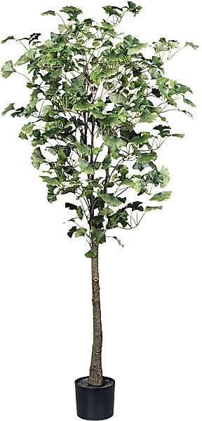 Kunstpflanze Gingkobaum Gingkobaum, Creativ green, Höhe günstig online kaufen