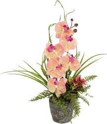 Kunstpflanze Orchidee, I.GE.A., Höhe 46 cm günstig online kaufen