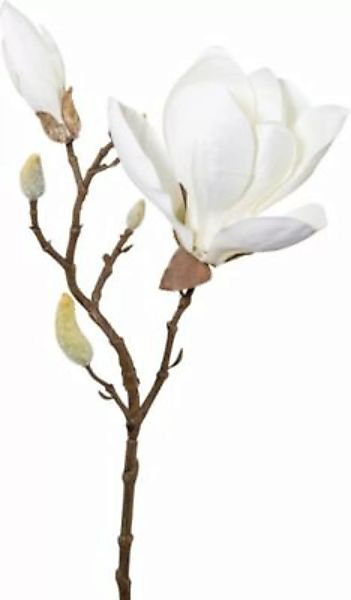 Kunstpflanze Magnolie weiß günstig online kaufen