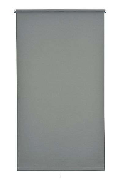 Springrollo Uni, sunlines, Lichtschutz, mit Bohren, günstig online kaufen